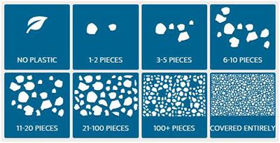 Crowd-Based Observations of Riverine Macroplastic Pollution